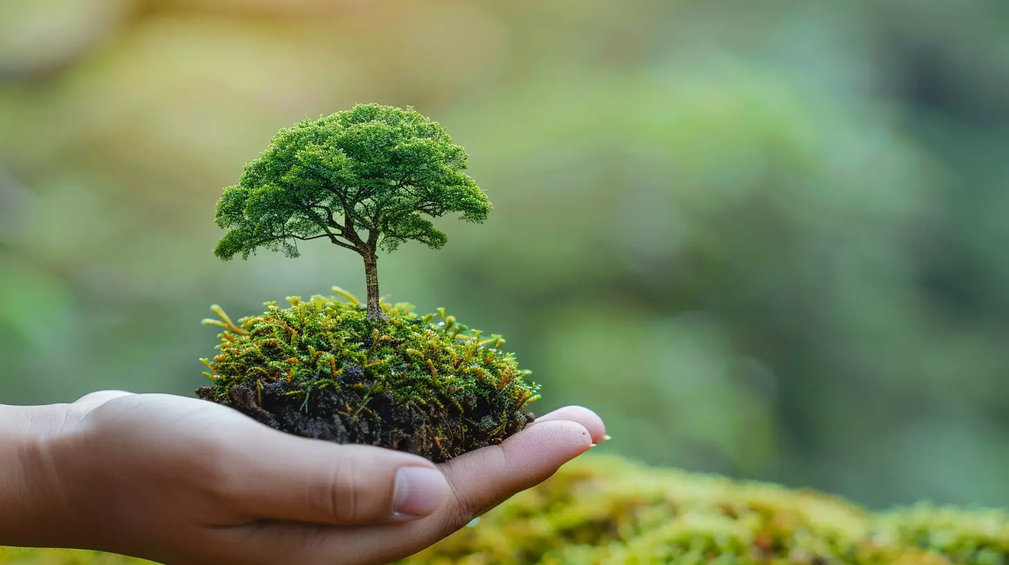 The Importance of Outdoor Learning in Environmental Education