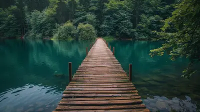 Bridging the Gap Between Environmental Theory and Practice