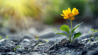 Building Resilience In Your Professional Teaching Career