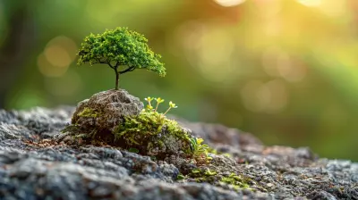 Building Resilience in Your Professional Teaching Career