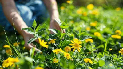 Eco-Friendly Classroom Practices to Reduce Your Carbon Footprint