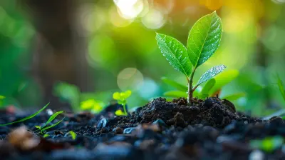 How to Cultivate a Growth Mindset for Continuous Improvement