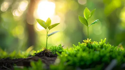 The Importance of Outdoor Learning in Environmental Education