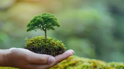 The Importance of Outdoor Learning in Environmental Education