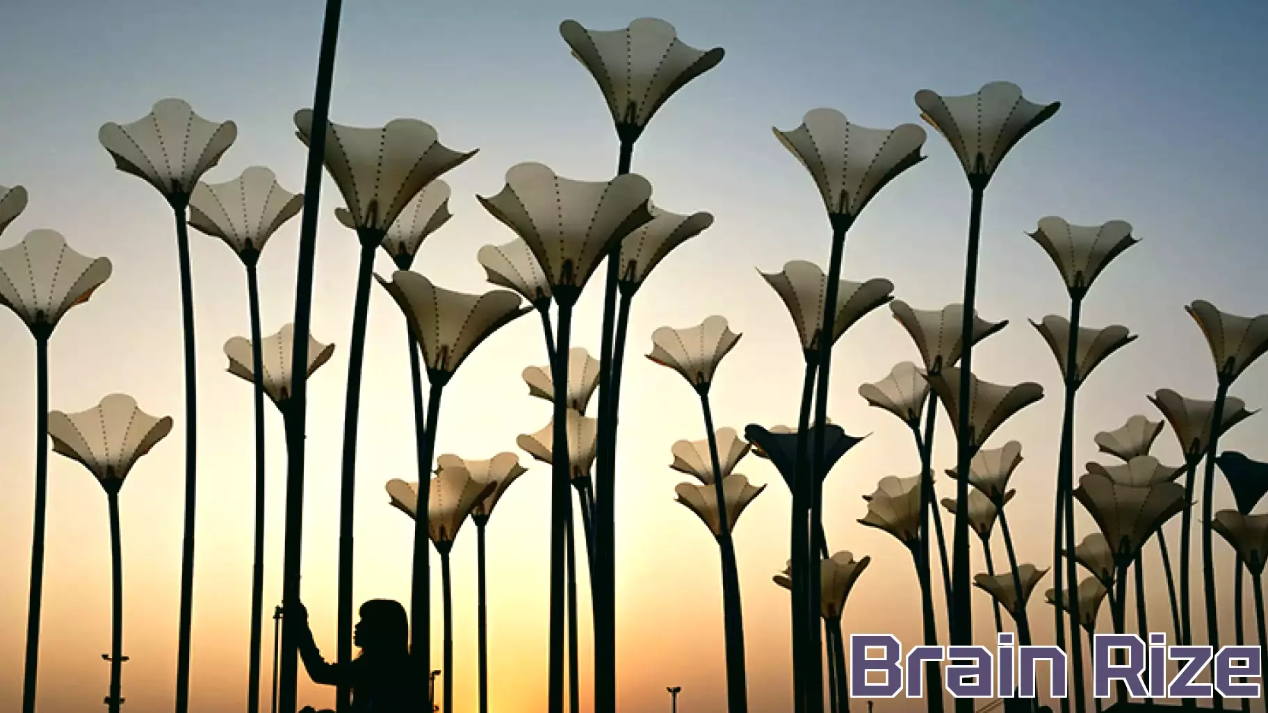 Asian Universities Make Strides in STEM and Humanities Subjects