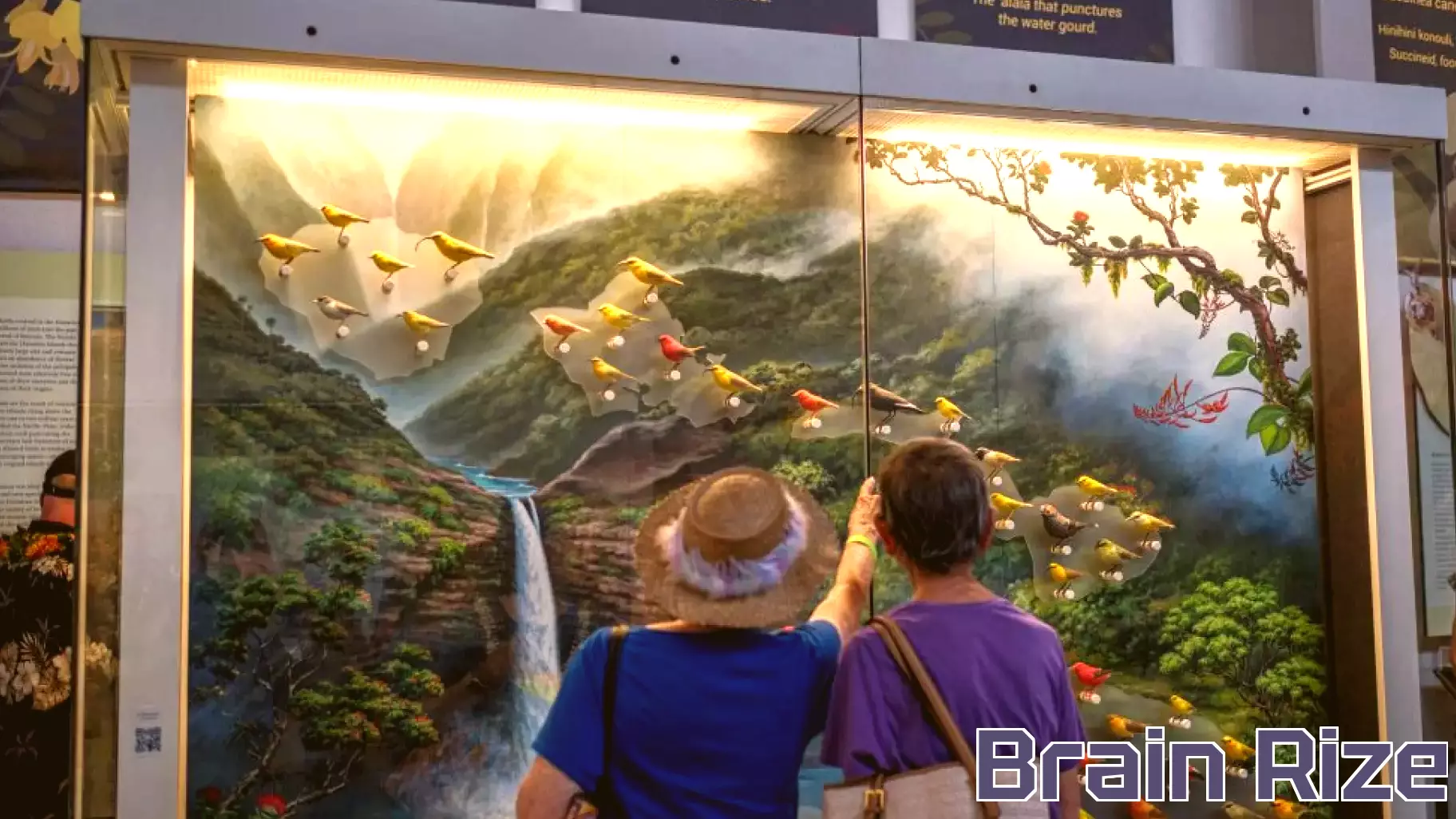 Bishop Museum Highlights Cultural Education with New Exhibitions and Weekly Programs
