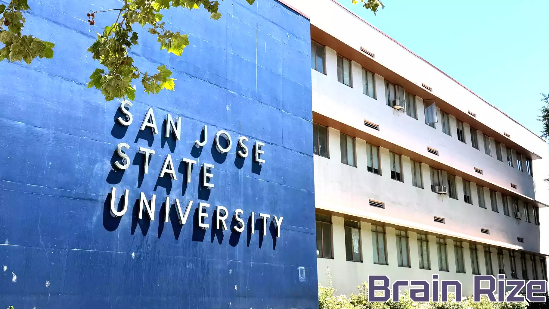 Department of Education launches probe into antisemitism at San Jose State, SF State