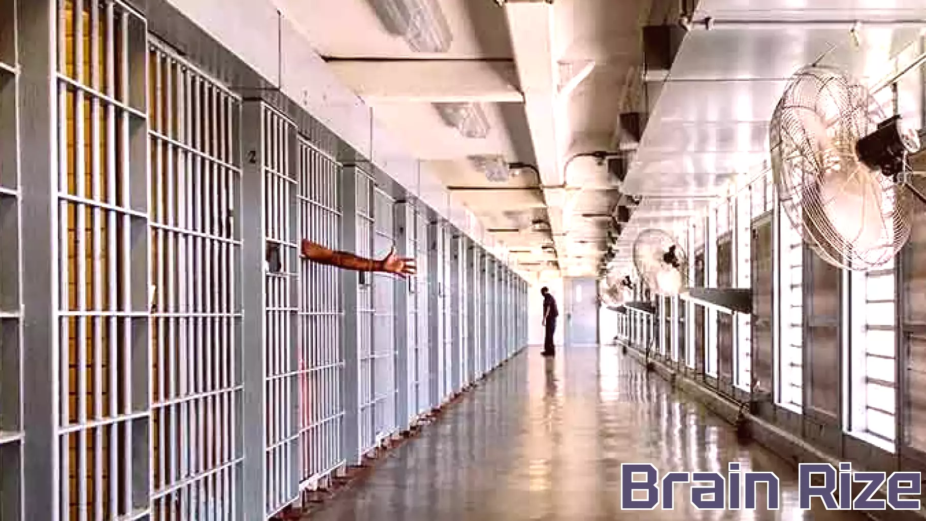 Education Behind Bars: A Journey of Self-Discovery and Empowerment