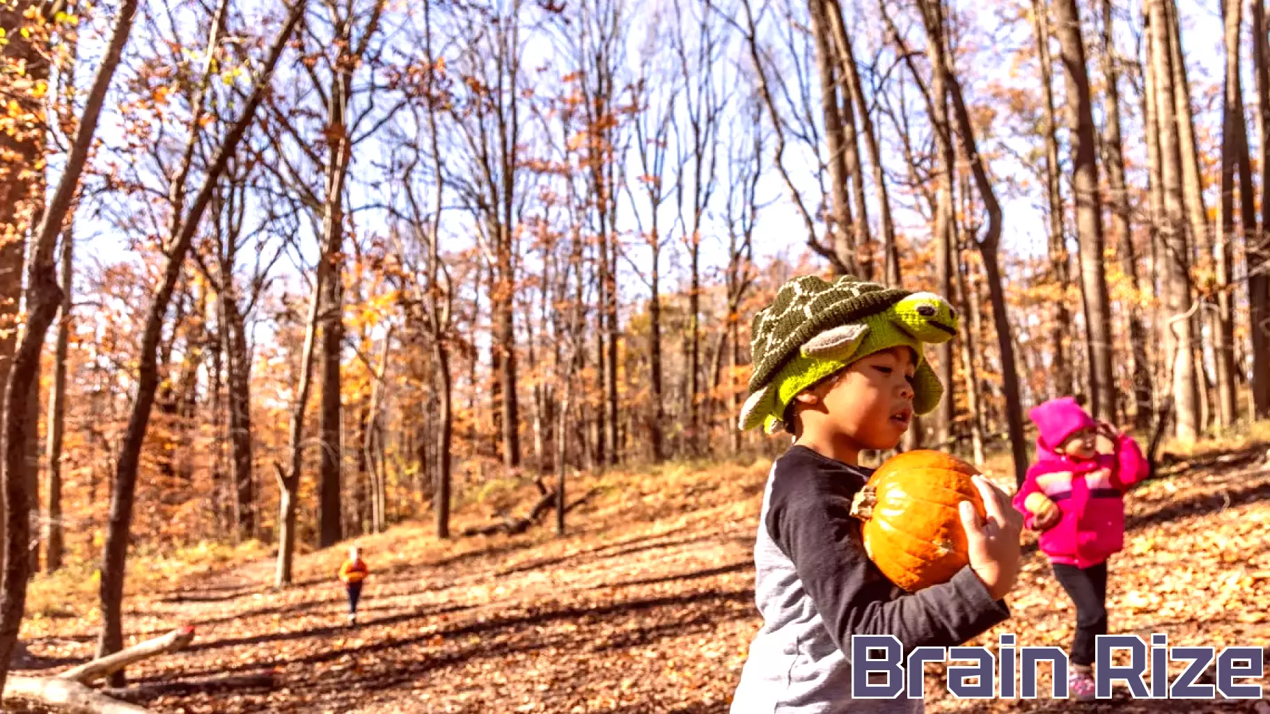 Nature's Role in Unlocking Children's Creativity in Philadelphia