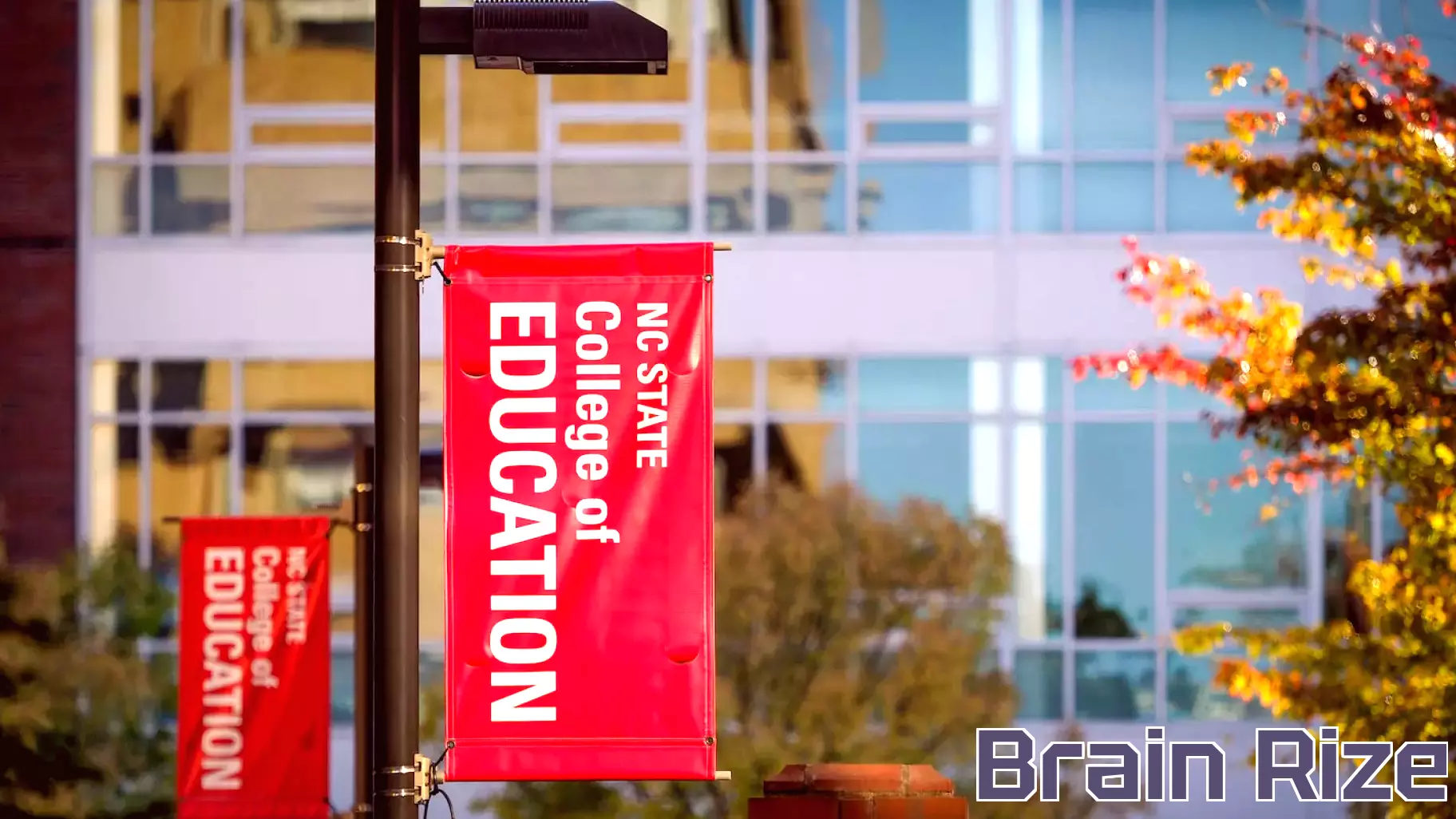 NC State Faculty Appointed to Lead Innovative Rural Leadership Education Center