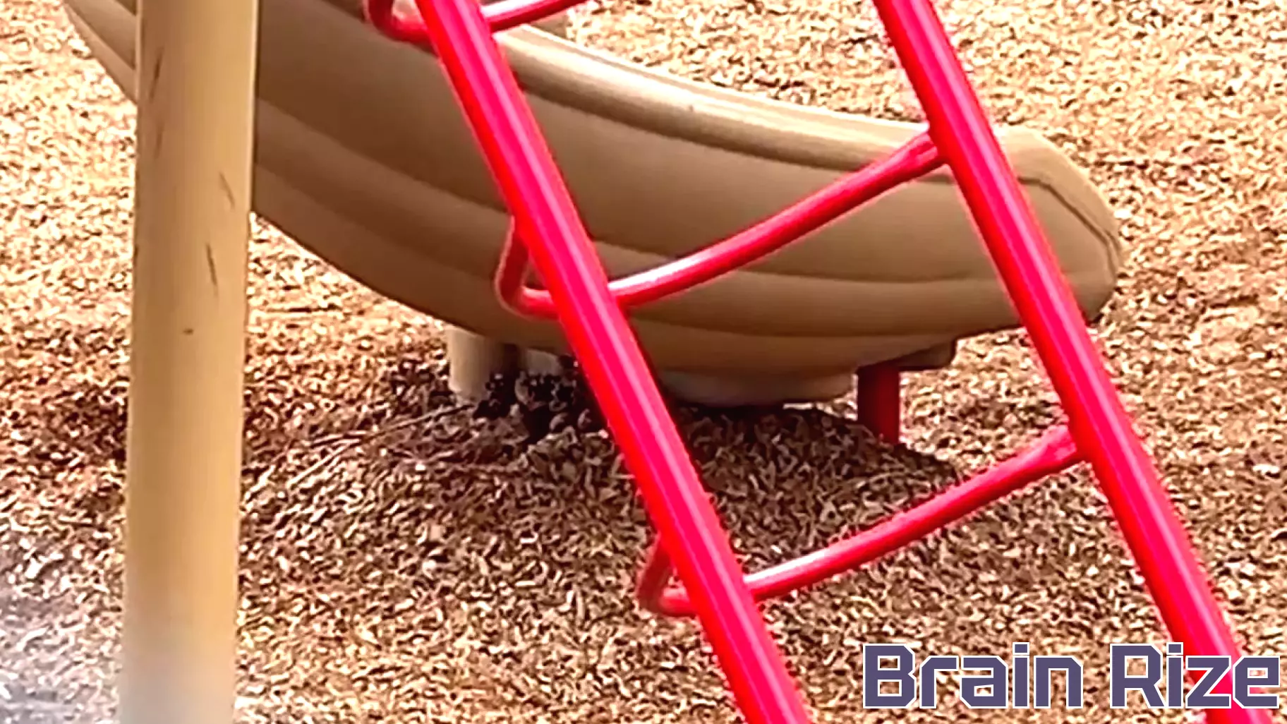 Proposal to stop graded 'character education' in Utah schools fails