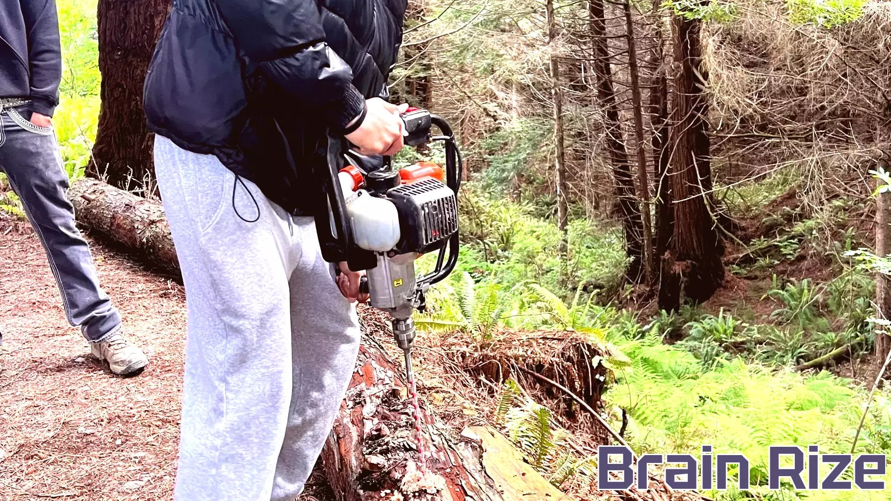 Students Build Forest Trails While Learning Stewardship