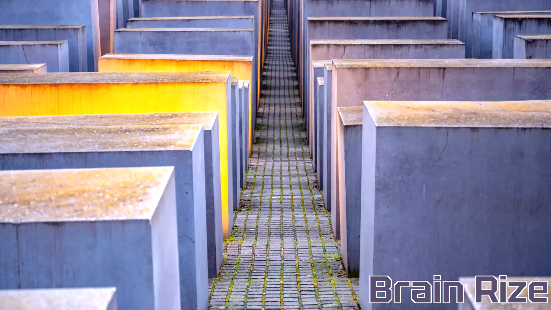 The Importance of Holocaust Education in Today’s Society