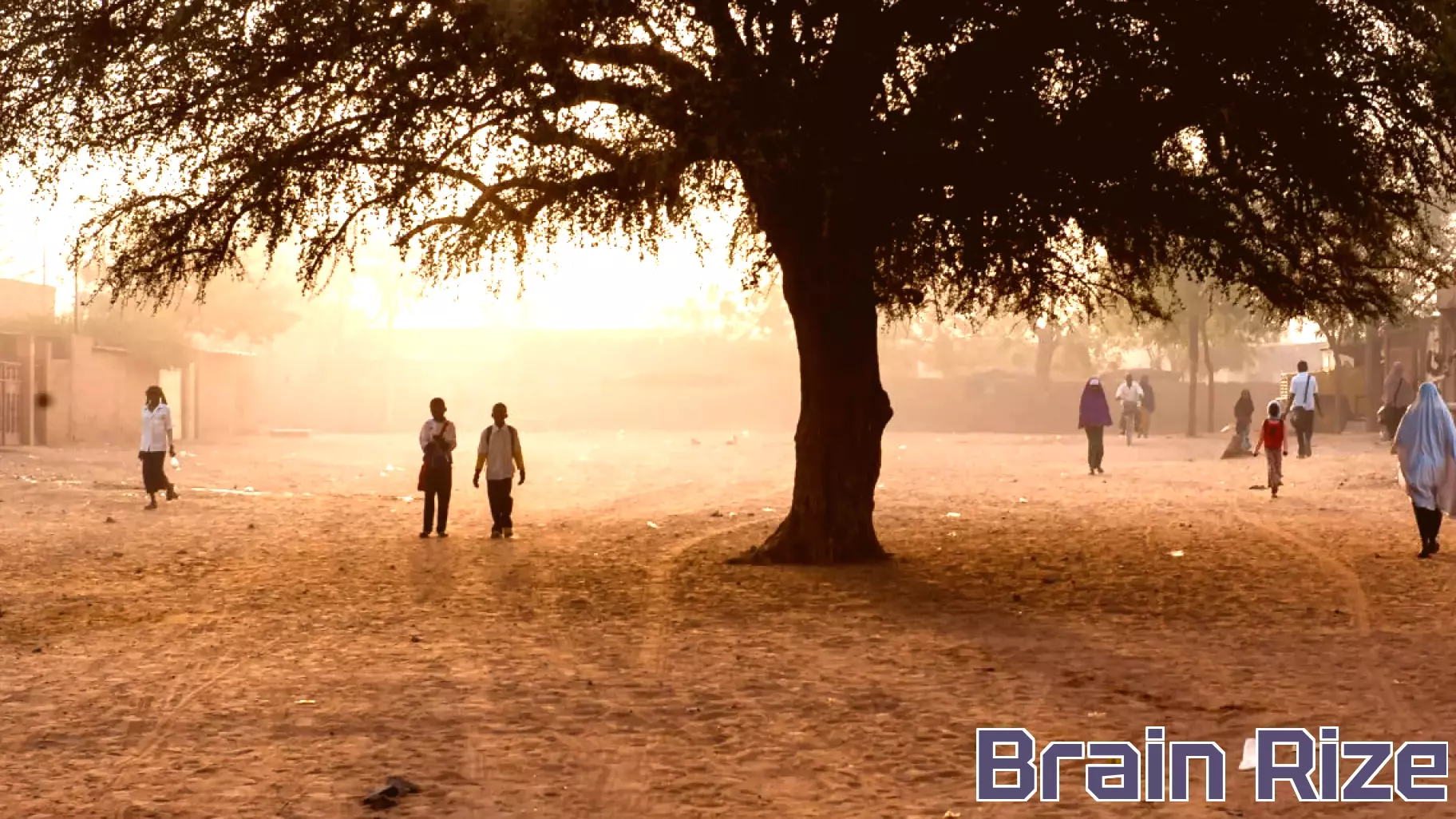 Trees Take Root in Niger's Schools for Climate Resilience and Education