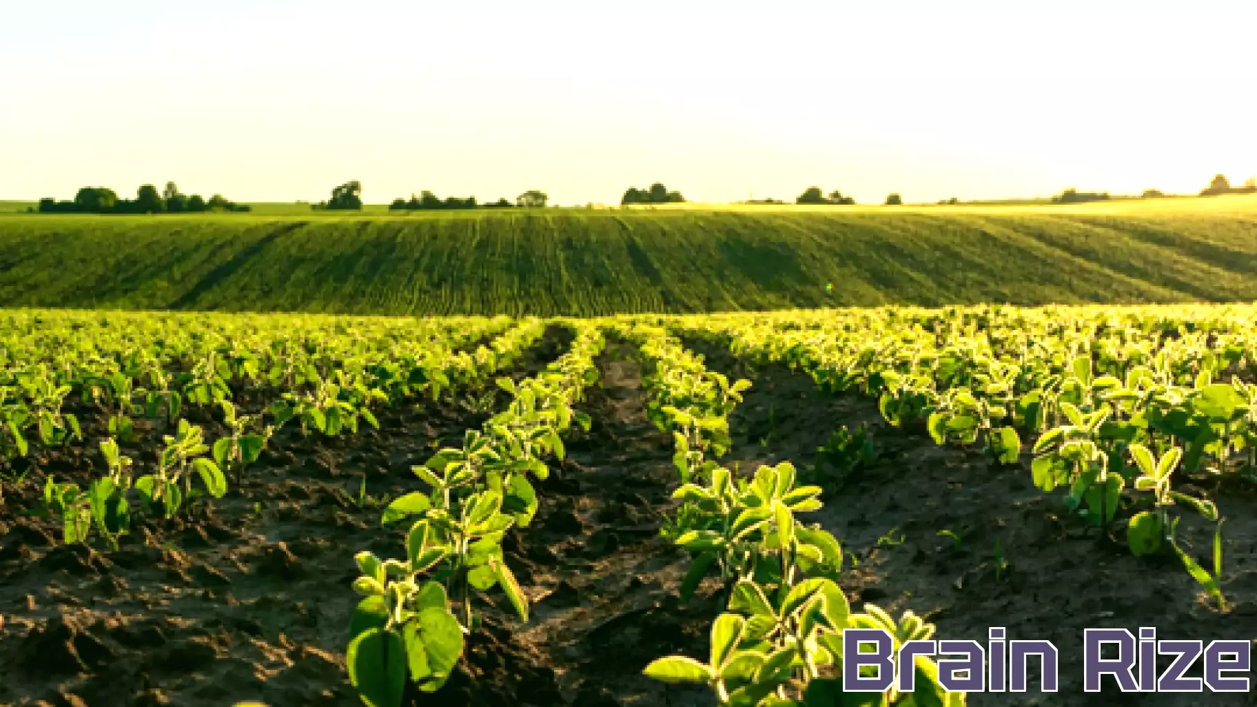 USDA Hosts Free Webinar on Farm Depreciation Tax Strategies