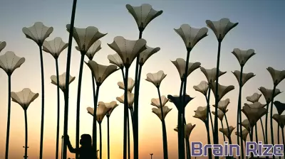 Asian Universities Make Strides in STEM and Humanities Subjects