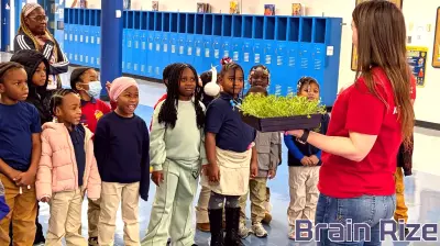 Childhood Nutrition Education: Investing Early Can Pay Healthy Dividends for a Lifetime