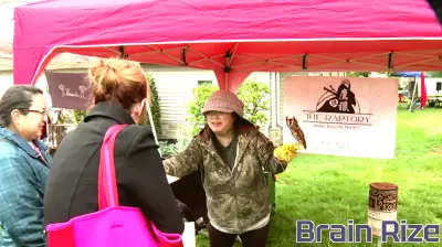 Nature, education, and art collide at West Shore event