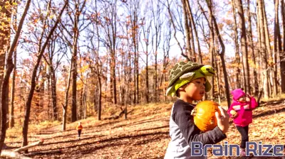 Nature's Role in Unlocking Children's Creativity in Philadelphia