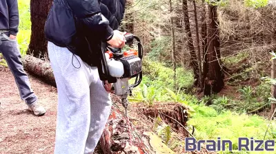 Students Build Forest Trails While Learning Stewardship