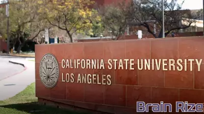 The Trump Administration's Multifaceted Approach to Higher Education Reform