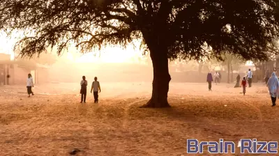 Trees Take Root in Niger's Schools for Climate Resilience and Education