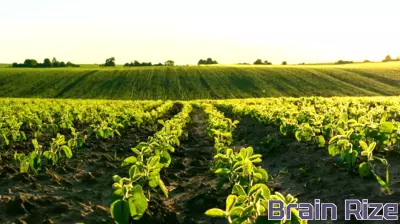 USDA Hosts Free Webinar on Farm Depreciation Tax Strategies